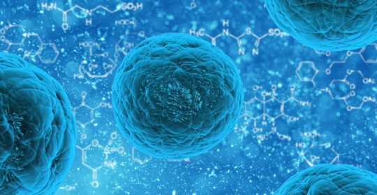 Research points to ways to improve the therapeutic potential of stem cells